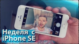 7 дней и 7 истин об iPhone SE