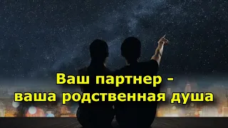 8 явных признаков того, что ваш партнер является вашей родственной душой.