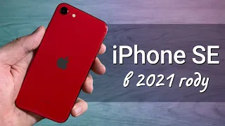 iPhone SE 2 (2020) ГОД спустя: СТОИТ ЛИ ПОКУПАТЬ или лучше взять iPhone 11?