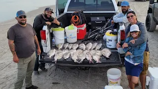 Sheepshead Fishing at the Jetties (Crazy action!!! LIMITS all day!) Catch and Cook