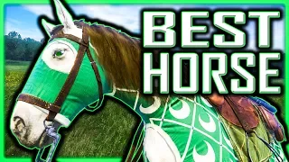 BEST Horse & BEST Horse Gear FOR FREE (Technically) - Kingdom Come Deliverance