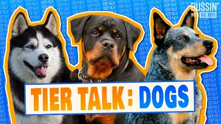 Maxx Crosby Ranks His Favorite Dog Breeds & Taylor Lewan Admits Chihuahas Are His Favorite Dog?!?