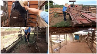 FAZENDO LIMPEZA NO CURRAL E INSTALANDO PIA| REFORMANDO CARRETA DO TRATOR