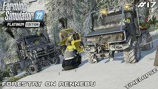 LOGGING FAIL - EVERYTHING STUCK IN SNOW | Forestry on RENNEBU | FS22 Platinum Edition | Episode 17