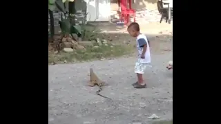 IGUANA SE DEFIENDE DE UN NIÑO CON LA COLA