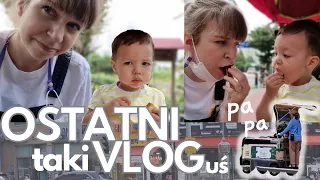 Ostatni taki DAILY VLOG - Jutro przeprowadzka! - Pierogi z Kimchi Daily Vlog z Korei KONIEC SEZONU 1