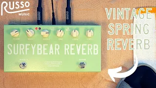 Surfybear Compact Reverb - Vintage Spring Reverb from Surfy Industries