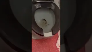 Kawasaki M8 toilets￼