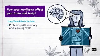 Mind Matters: How Does Marijuana Affect Your Brain and Body?