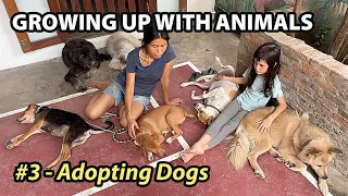 Growing Up with Animals #3 "Adopting Dogs"