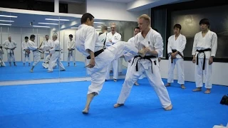 Mikio Yahara: Mae Geri. Training in KWF Honbu Dojo 2012