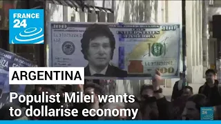 Argentina economic crisis: Right-wing populist Milei wants to dollarise economy • FRANCE 24