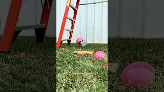 TUNGSTEN CUBE VS BOWLING BALL