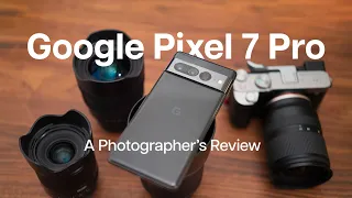 Google Pixel 7 Pro - Photographer's Review (POV + LR pixel peeping)