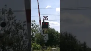 AZD 97 Railroad Crossing With 2 Bells????????