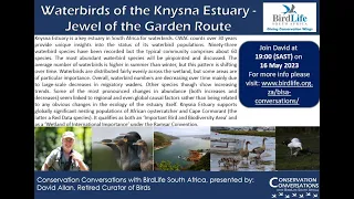 Conservation Conversations: Waterbirds of the Knysna Estuary - David Allan (16May2023)