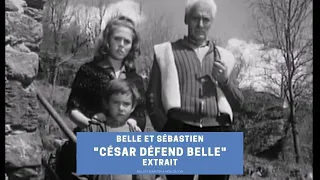 César prend la défense de Belle et Sébastien | Extrait Belle et Sébastien (1965)