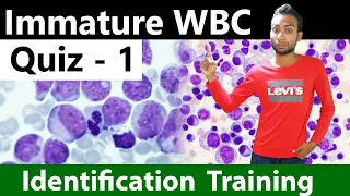 Immature WBC Identification Training Quiz - 1/2