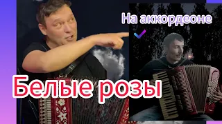 Белые розы. Вот как это получилось на аккордеоне. #ласковыймай #шатунов #music #аккордеон