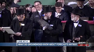 Groundhog Day is fun, but don't count on Phil's weather predictions