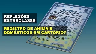 Registro de animais domésticos em cartório? | Reflexões Extraclasse