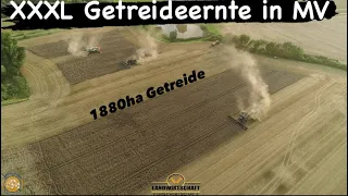 XXXL Getreideernte in Mecklenburg Vorpommern! 2 FENDT IDEAL 10T & CLAAS LEXION 8800 Landwirtschaft