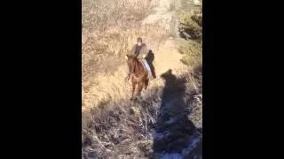 Horse sliding