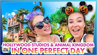 Hollywood Studios and Animal Kingdom in ONE PERFECT DAY -- Park Hopping in Disney World