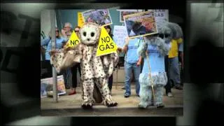 Hey Eastern Star Gas, The Pilliga State Forest is NOT for Sale