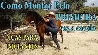 Como Montar Pela Primeira Vez a Cavalo - DICAS PARA INICIANTES