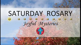 Saturday Rosary • Joyful Mysteries of the Rosary 💙 November 18, 2023 VIRTUAL ROSARY - MEDITATION