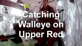 Upper Red Lake Ice Fishing Walleye 2017