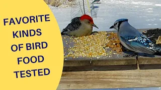 Favorite Kinds of Bird Food Tested 2022
