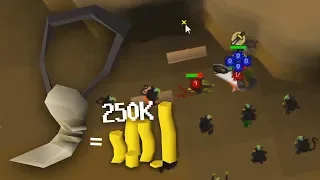 Chinning with the Dragonbone Necklace (900k+ XP/HR)