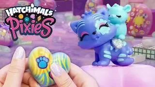 Vacay Pixies Unbox NEW Hatchimals Pet Obsessed! Hatchimals Unboxing Hatchimals