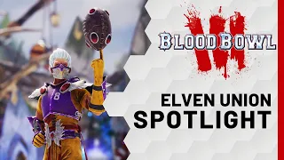 BLOOD BOWL 3 | ELVEN UNION SPOTLIGHT