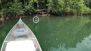 Floating the Big Piney River in search of MONSTER Smallmouth Bass!