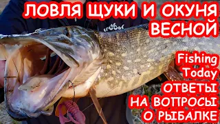 ЛОВЛЯ ЩУКИ И ОКУНЯ ВЕСНОЙ. ПРИМАНКИ. РЫБАЛКА НА СПИННИНГ