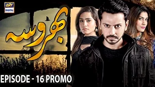 | ARY Digital Drama