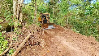 CAT D6R XL Bulldozer Operator Works to Tidy Up a Very Neat Trobor Road