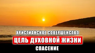 Христианское совершенство. Цель духовной жизни. Спасение | Монах Андроник | Афон