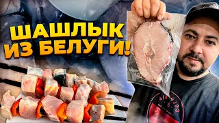 Шашлык из Белуги