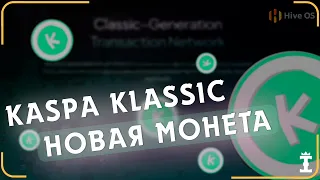 Kaspa Classic. Майню на видеокартах новую монету для майнинга! Как начать майнить на HiveOS