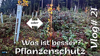 Vlog#21 Verbissschutz  Forstpflanzen / Fegeschutz Einzelschutz Douglasie Eiche Buche