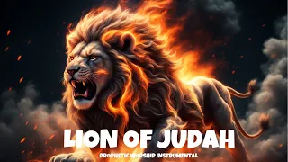 LION OF JUDAH/ PROPHETIC WARFARE INSTRUMENTAL / HARP WORSHIP MUSIC