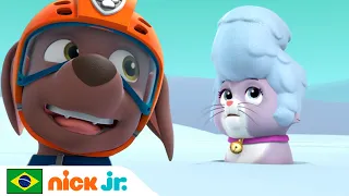 Patrulha Canina | Os filhotes viajam pela Tundra gelada | Nick Jr. em Português