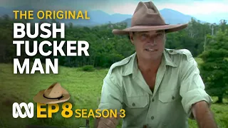 Taming the country, Cape York Peninsula 🤠🗺️ | Bush Tucker Man | S3 EP8 | ABC Australia