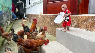 Bibi farmer enlisted gets up early to take care of chickens to help tired grandma!