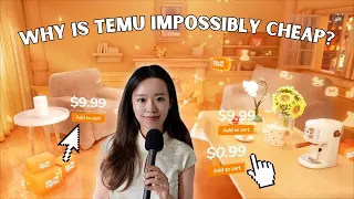 The real problem with Temu's aggressive ads campaign