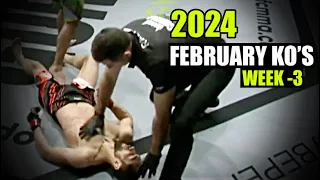 MMA & Boxing Knockouts I February 2024 Week 3